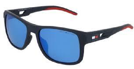 Tommy Hilfiger Men's Sunglasses 1913/S-FLL-ZS