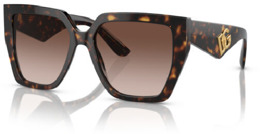 Dolce&Gabbana Women`s sunglasses 0DG4438 502/13 55