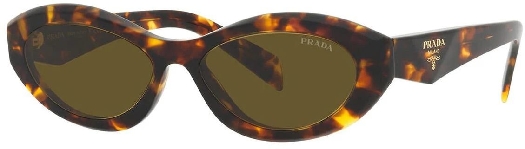 Prada Women's sunglasses PR 26ZS 14L09Z