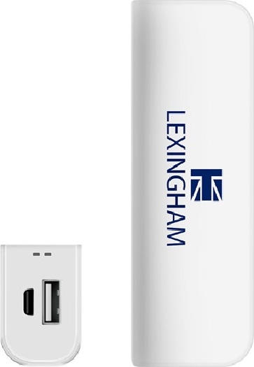 Lexingham 5900 2600mAh Portable USB Power Bank