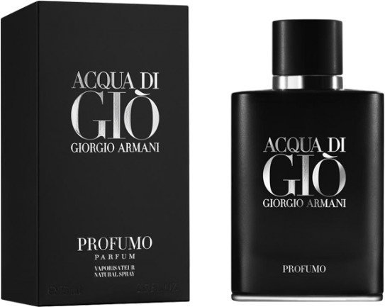 Giorgio Armani Acqua di Giò pour Homme EdT 75ml in duty-free at bordershop  Kazbegi