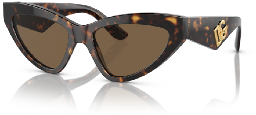 Dolce&Gabbana Women`s sunglasses 0DG4439 502/73 55