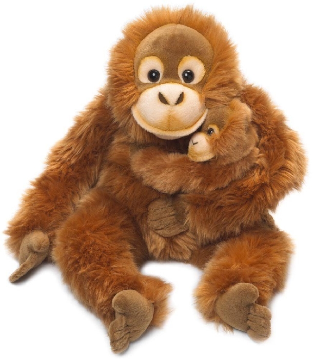WWF Line Senior Orangutan
