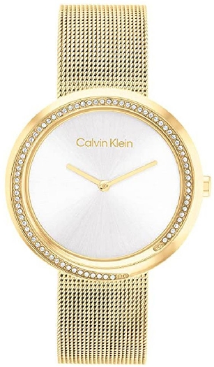 Calvin Klein Women`s watch 25200150