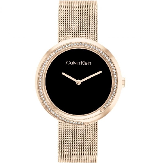 Calvin Klein Women`s watch 25200151