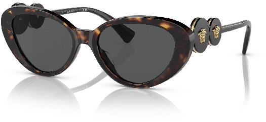 Versace Women`s sunglasses VE4433U 108/87 54