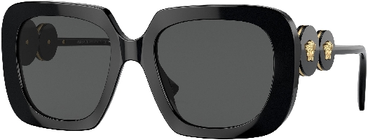 Versace Women`s sunglasses VE4434 GB1/87 54