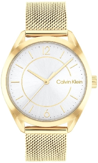 Calvin Klein Women`s watch 25200195